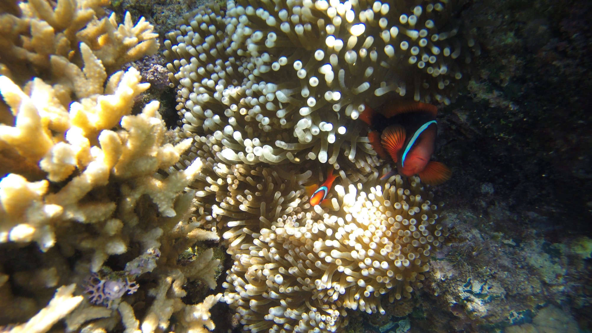 琉球温泉瀬長島ホテル